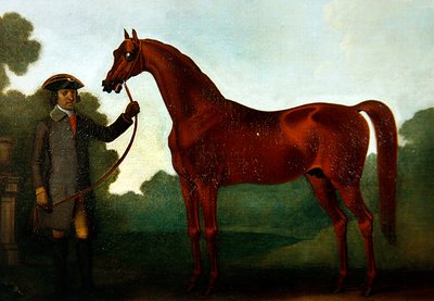 Il cavallo arabo di Mr Charles Wilson con un groom da Thomas Spencer