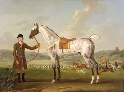 Scipio, il cacciatore maculato del colonnello Roche da Thomas Spencer