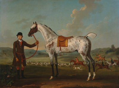 Scipio, un cacciatore maculato, proprietà del colonnello Roche da Thomas Spencer