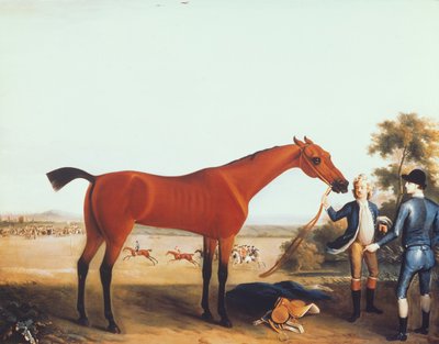 Il cavallo da corsa del Duca di Devonshire 