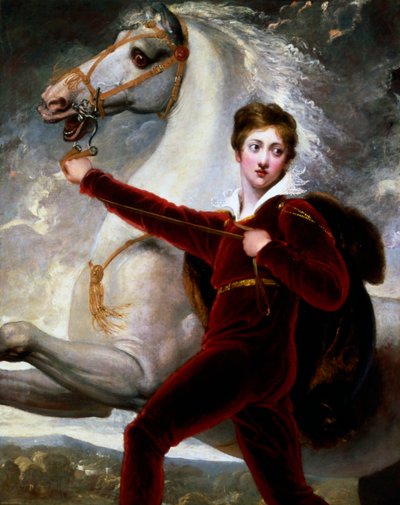 Ritratto di un ragazzo in abito di velluto rosso da Thomas Stothard