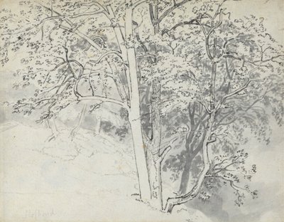 Studio di alberi da Thomas Stothard