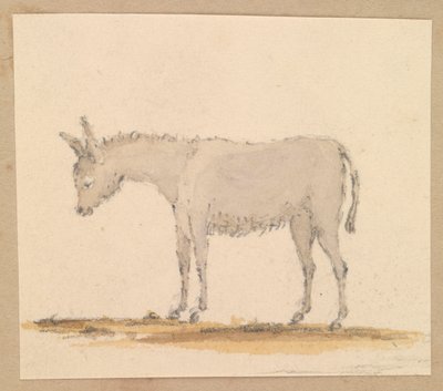 Studio di un asino, c.1820 da Thomas Streatfeild