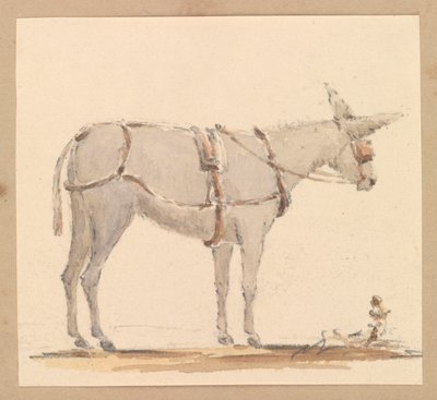 Studio di un asino con briglia e imbracatura da Thomas Streatfeild