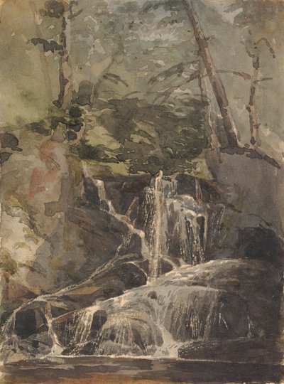 Piccola cascata nella foresta da Thomas Sully
