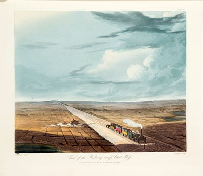 Ponte di Rainhill, Chat Moss, vicino a Liverpool da Thomas Talbot Bury