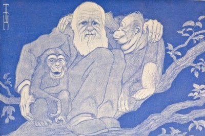 Cartone animato di Darwin con scimmia (dettaglio) da Thomas Theodor Heine