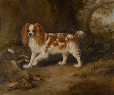 Uno spaniel con una lepre morta da Thomas W. Bretland