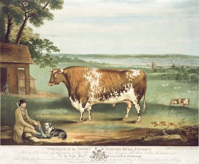 Un toro a corna corte, Patriot, inciso da William Ward, Shrewsbury, 1810 da Thomas Weaver