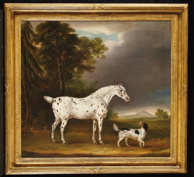 Cavallo Appaloosa e spaniel, 1807 da Thomas Weaver