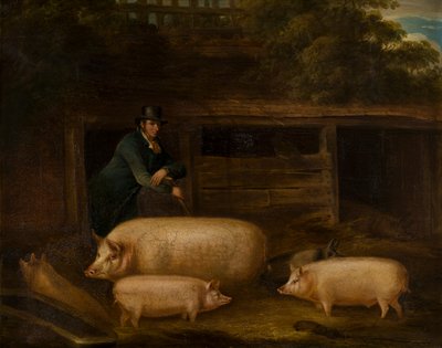 Harry Green, Pigman, con i suoi maiali in un porcile, c.1794-1843 da Thomas Weaver