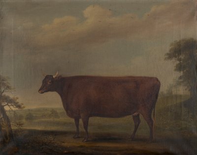 Giovenche rosse del Devon nel paesaggio da Thomas Weaver