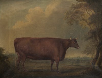 Giovenche rosse del Devon nel paesaggio da Thomas Weaver
