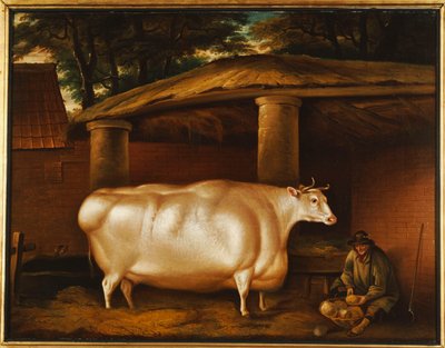 La giovenca bianca che viaggiava, con un uomo che affetta rape in un cortile di stalla, 1811 da Thomas Weaver