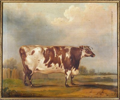 Wildair, una giovenca di otto anni in un paesaggio fluviale, 1827 da Thomas Weaver