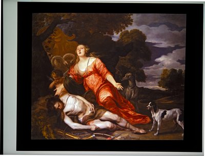 La Morte di Adone da Thomas Willeboirts Bosschaert