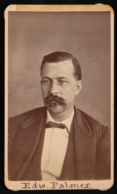 Ritratto di Edward Palmer 1829-1911, prima del 1900 da Thomas William Smillie