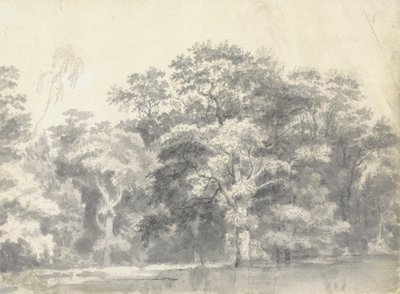 Alberi su una riva del fiume da Thomas Wyck