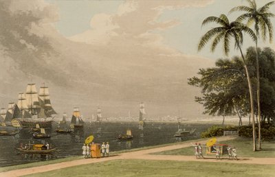 Veduta di Calcutta dal Garden Reach, 1810 da Thomas und William Daniell