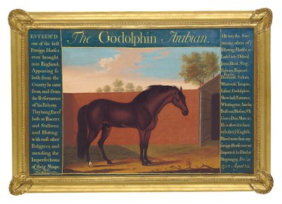Il Godolphin Arabian da Thomas of Pall Mall Butler