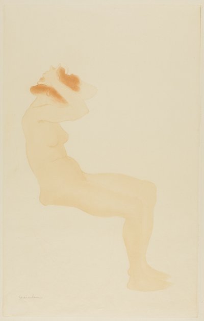 Donna di profilo che si sistema i capelli da Théophile Alexandre Pierre Steinlen