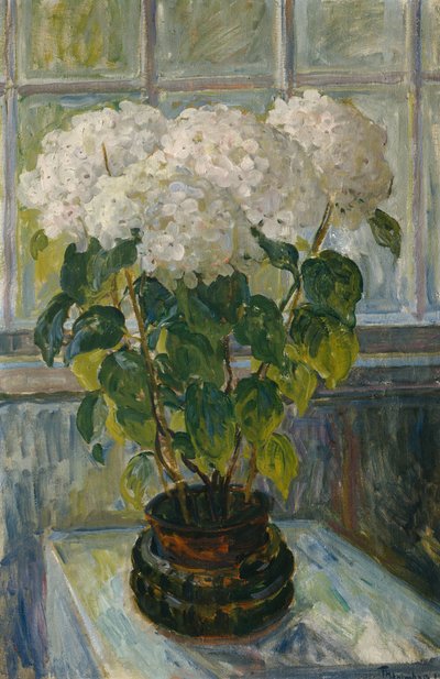 Ortensia da Thorolf Holmboe