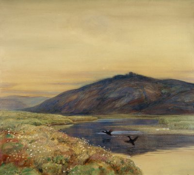 Paesaggio con Uccelli da Thorolf Holmboe