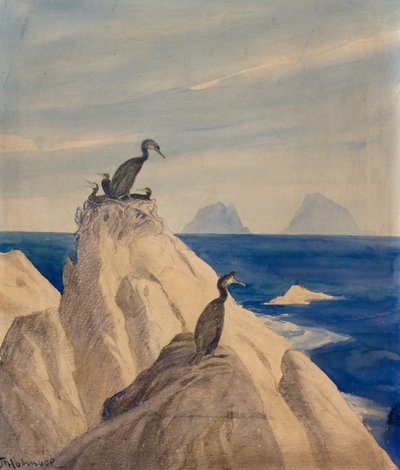 Sule settentrionali da Thorolf Holmboe