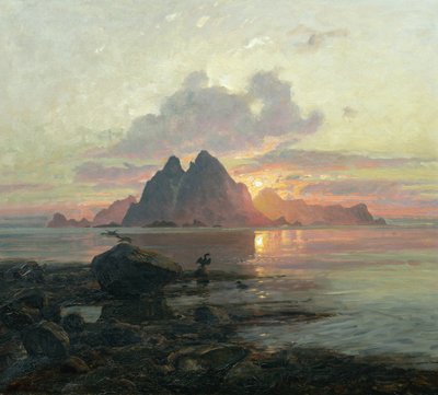 Phalacrocorax aristotelis nel sole di mezzanotte da Thorolf Holmboe