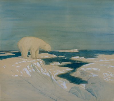 Orso polare da Thorolf Holmboe