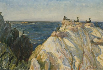 Uccello marino da Thorolf Holmboe