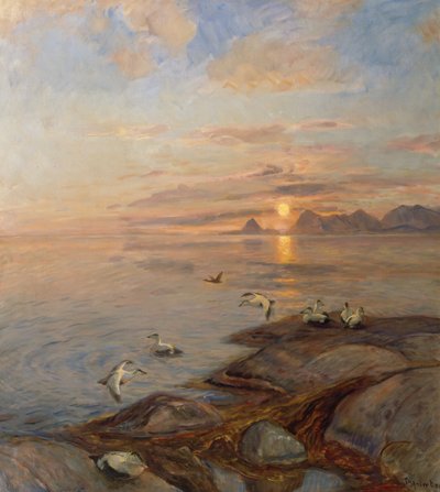 Uccelli marini nel sole di mezzanotte da Thorolf Holmboe