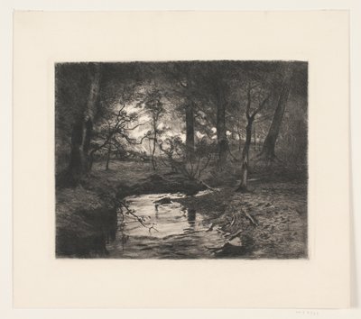 Aa nella foresta di Borrevejle da Thorvald Niss