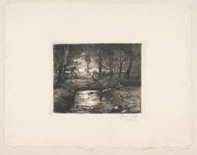 Aa nella foresta di Borrevejle da Thorvald Niss