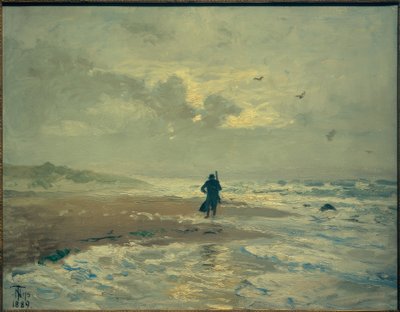 Vista della spiaggia. Grenen vicino a Skagen da Thorvald Niss