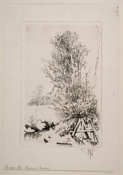 Alberi vicino a un ruscello da Thorvald Niss