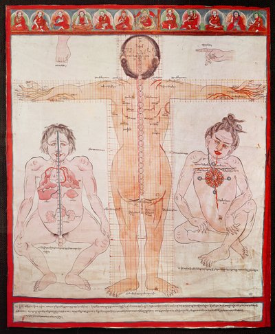 Carta anatomica, 1938 da Tibetan School