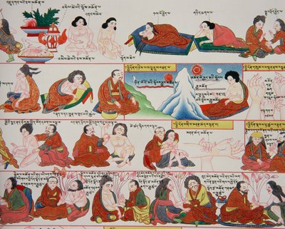 Manoscritto sulla medicina tibetana (dettaglio) da Tibetan School