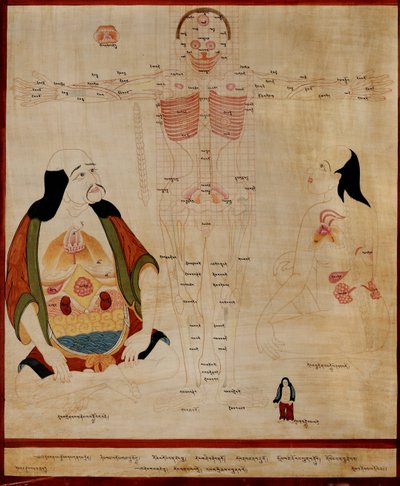 Manoscritto che mostra i punti meridiani da Tibetan School