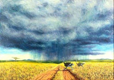 Tempesta africana, 2016 da Tilly Willis