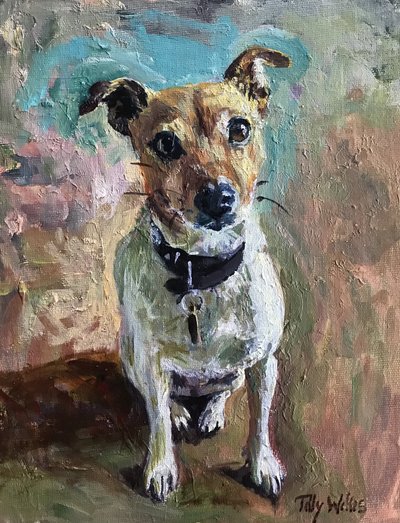 Jack Russell da Tilly Willis