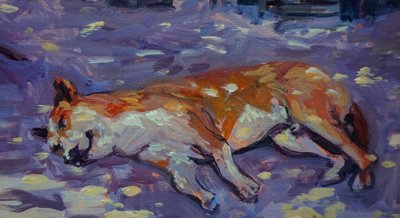 Cane che dorme, 2021 da Tilly Willis