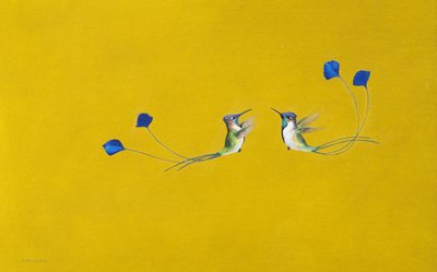 Colibrì da Tim Hayward