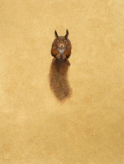 Scoiattolo rosso che salta da Tim Hayward