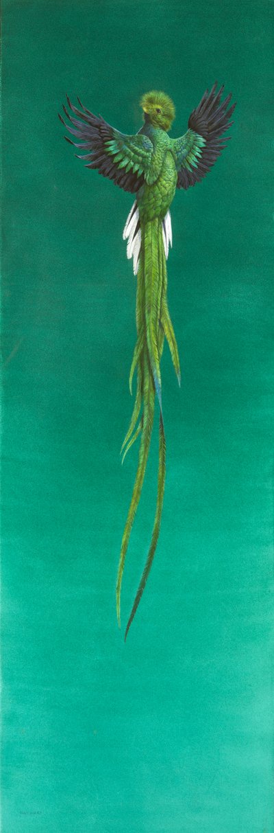 Quetzal da Tim Hayward