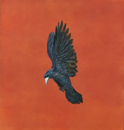 Splendore-Rosso da Tim Hayward