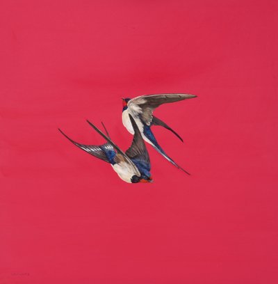 Vortice-Rosso da Tim Hayward
