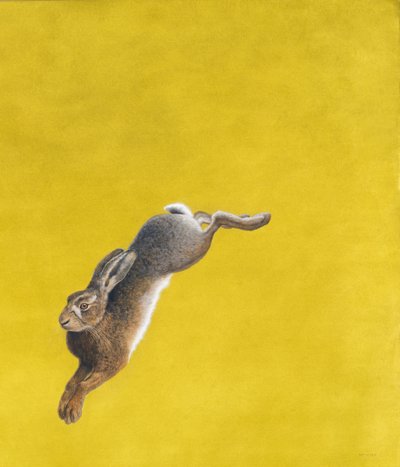Il Salto-Giallo da Tim Hayward