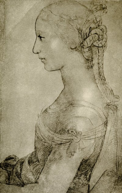 Profilo di ragazza da Timoteo Viti