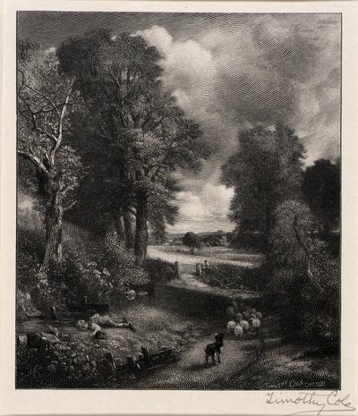 Campo di grano da Timothy Cole